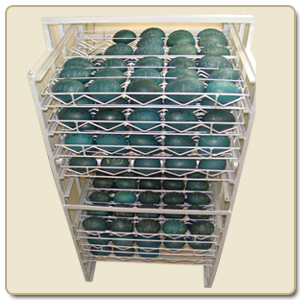 EMU Egg Incubator, Hatching egg Incubators