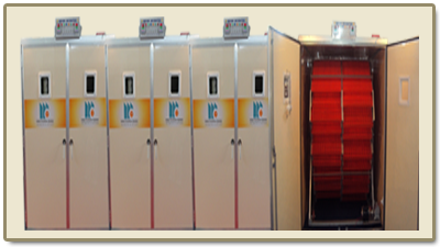 SETTER INCUBATORS