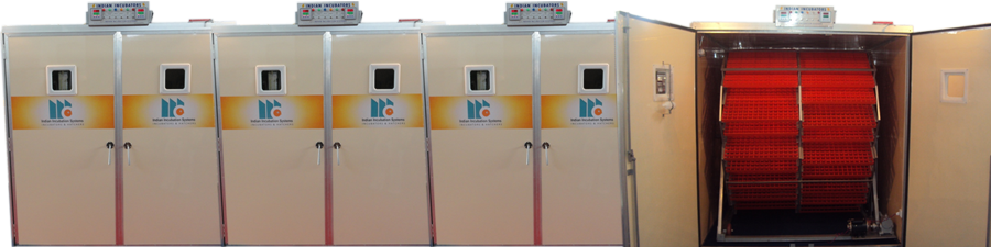 Setter_Incubator_Series